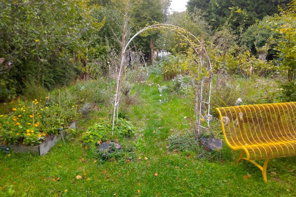 L'ancienne friche industrielle est devenue une forêt-jardin, un espace partagé au Bizardin © LPO